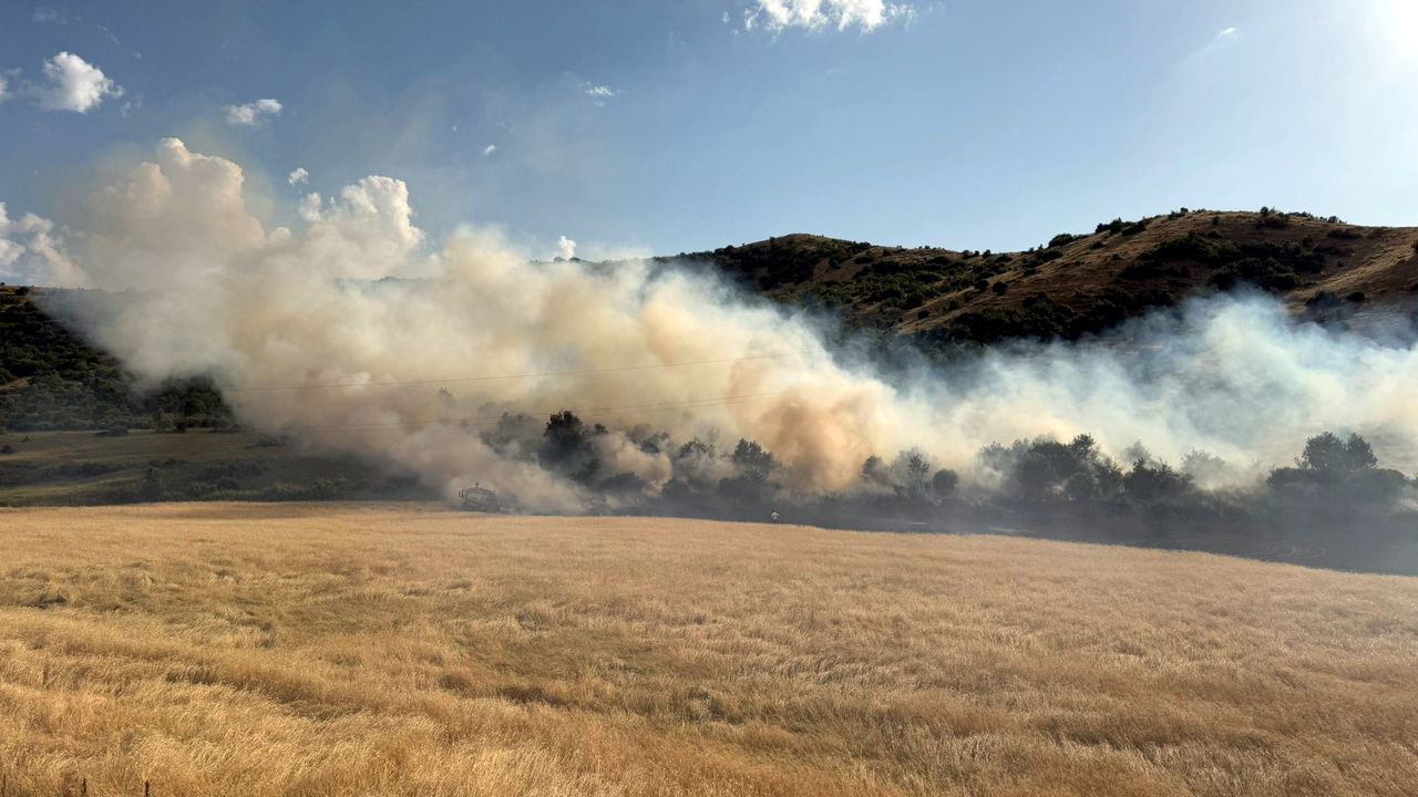 Bitlis'te örtü yangını söndürüldü