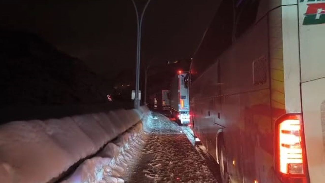 Bitlis'te seyir halindeki yakıt tankeri üzerine çığ düştü; sürücü sağ kurtarıldı (3)