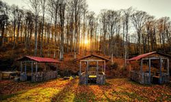 Nebiyan Dağı: Karadeniz'in Terası