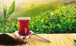 Türk Çayı Yılın İlk Yarısında 112 Ülkede Alıcı Buldu