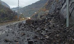 Artvin'de Heyelan: Kayalar Yola Düştü