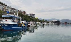 Prof. Dr. Aydın: Karadeniz’de Balık Stoklarımızda Çöküş Var