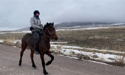 Kars'ta 2 Yaşındaki Yerli Taylar Yarıştı