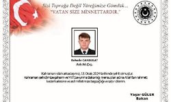 MSB: Dalış Eğitiminde Rahatsızlanan Astsubay Şehit Oldu