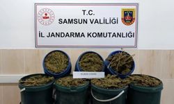 Samsun'da Uyuşturucu Operasyonunda 1 Kişi Tutuklandı