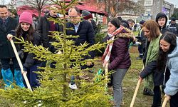 OMÜ'de Bahar Bayramında 1200 Fidan Toprakla Buluşturuldu