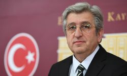 CHP'li Murat Çan'dan Hükümete Kahverengi Kokarca Eleştirisi
