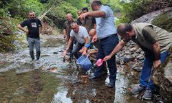 Samsun'da 5 Bin Kırmızı Benekli Alabalık Yavrusu Dereye Salındı