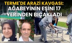 Terme'de Arazi Kavgası: Ağabeyinin Eşini 17 Yerinden Bıçakladı