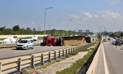 Samsun'da Arı Sokan TIR Şoförü Kaza Yaptı