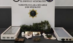 Samsun'da Evinde Uyuşturucu Yetiştiren Şüpheli Yakalandı