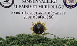 Samsun'da Uyuşturucu Operasyonu: 1 Gözaltı