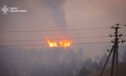 Ukrayna’nın Kramatorsk Bölgesinde Orman Yangını