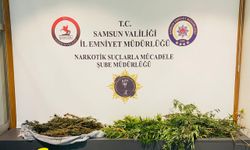 Samsun'da 2 Kilo 762 Gram Esrar Ele Geçirildi