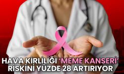 Hava Kirliliği Meme Kanseri Riskini Yüzde 28 Artırıyor