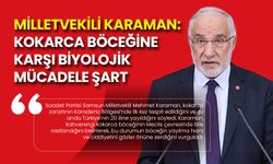 Mehmet Karaman: Kahverengi Kokarca Böceğine Karşı Biyolojik Mücadele Şart