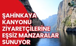 Şahinkaya Kanyonu: Vezirköprü'nün Doğal Güzelliği