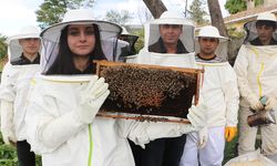 Samsun'da Liseli Öğrenciler Arıcılık Dersiyle İlk Hasatta 60 Kilogram Bal Üretti