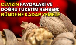 Cevizin Faydaları ve Doğru Tüketim Rehberi: Günde Ne Kadar Yemeli?