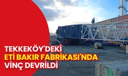 Tekkeköy'deki Eti Bakır Fabrikasında Vinç Devrildi