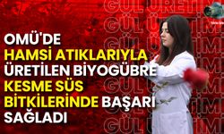 OMÜ’den Çevre Dostu Tarım: Hamsi Atıklarından Biyogübre Üretildi