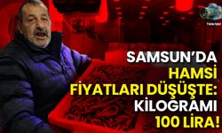 Samsun’da Hamsi Fiyatları Düşüşte: Kilogramı 100 Lira!