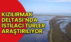 Kızılırmak Deltası’nda İstilacı Türler Araştırılıyor