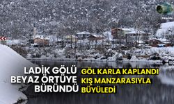 Samsun'da 'Ladik Gölü' Buz Tuttu