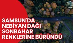 Samsun'da Nebiyan Dağı Sonbahar Renklerine Büründü