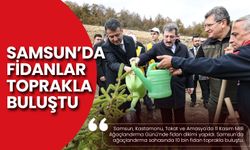 Samsun'da 10 Fidan Toprakla Buluştu