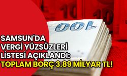 Samsun'da Vergi Yüzsüzleri Listesi Açıklandı: Toplam Borç 3.89 Milyar TL!