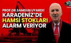 Prof.Dr.Samsun: Karadeniz’de Hamsi Stokları Alarm Veriyor