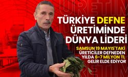 Defneden Yılda 6-7 Milyon TL Gelir Elde Ediyorlar