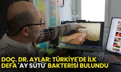 Türkiye’de İlk Kez ‘Ay Sütü’ Bakterisi Keşfedildi