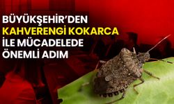 Büyükşehir'den Kahverengi Kokarca ile Mücadelede Önemli Adım