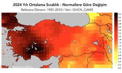 Dünya ölçüm tarihinin en sıcak yılı 2024