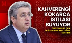 Kahverengi Kokarca İstilası Büyüyor! CHP'li Çan'dan İktidara Eleştiri