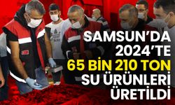 Samsun’da 2024’te 65 Bin 210 Ton Su Ürünleri Üretildi