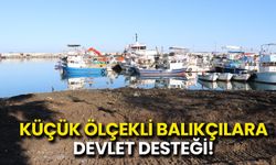 Küçük Ölçekli Balıkçılara Devlet Desteği! Başvurular Başladı