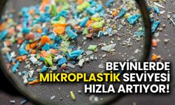 Beyinlerde Mikroplastik Seviyesi Hızla Artıyor!