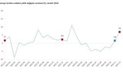 TÜİK: Aralıkta Sanayi Üretimi Arttı