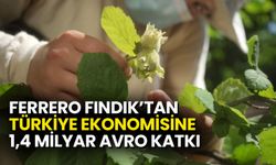 Ferrero Fındık’tan Türkiye Ekonomisine 1,4 Milyar Avro Katkı