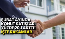 Şubat Ayında Konut Satışları %20,1 Arttı! İşte Rakamlar