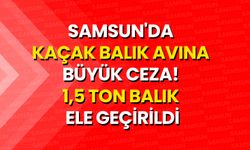 Samsun'da Kaçak Balık Avına Büyük Ceza! 1,5 Ton Balık Ele Geçirildi