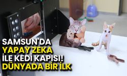 Samsun'da Yapay Zeka ile Kedi Kapısı! Dünyada Bir İlk