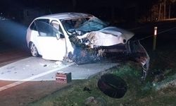 Ağaca çarpan otomobildeki doçent öldü, eşi ve oğlu yaralandı
