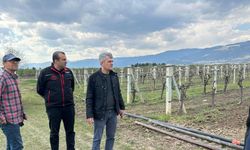Nisan Karı Fındığı Vurdu: Rekolte Riski Büyüyor