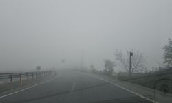 Zonguldak'ta yoğun sis
