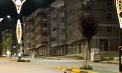 Başına poşet takılan çakalı vatandaş kurtardı; o anlar kamerada