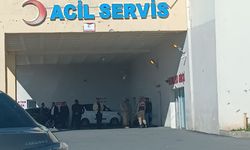Bitlis'te polis aracı takla attı: 2 yaralı